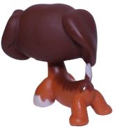 #0675 Dachshund